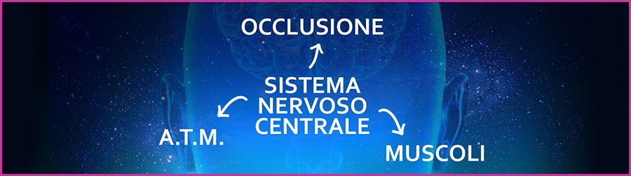 L'OCCLUSIONE E IL SISTEMA NERVOSO CENTRALE (SNC)