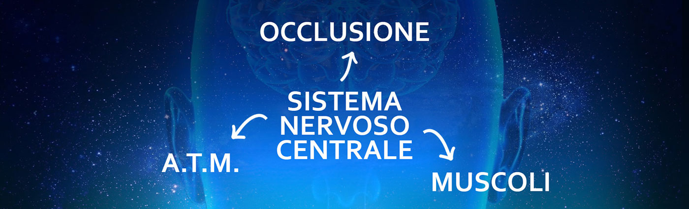 sistema nervoso centrale
